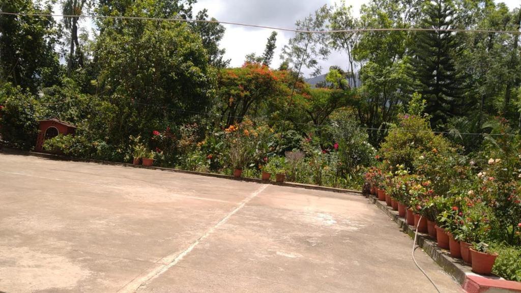 Vintage Retreat 1970's Homestay *